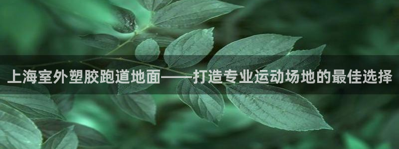 红足一1世官网比分：上海室外塑胶跑道地面——打造专业运动场地的最佳选择