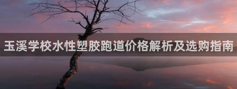 红足1世1站2站管理网：玉溪学校水性塑胶跑道价格解析及选购指南