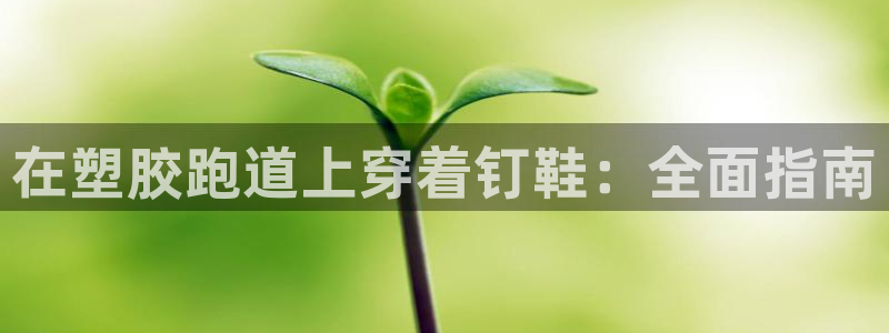 红足一1世比分：在塑胶跑道上穿着钉鞋：全面指南