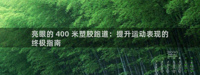 红世一足球比分：亮眼的 400 米塑胶跑道：提升运动表现的
终极指南