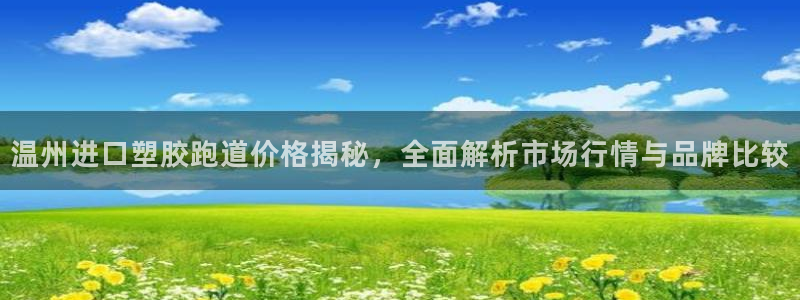 红足一1世：温州进口塑胶跑道价格揭秘，全面解析市场行情与品牌比较